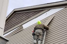 Best Fascia and Soffit Installation  in Vincent, AL